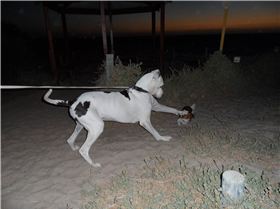 Coros action Jan 2014