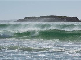 West Coast Wave Classic