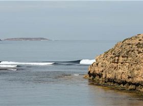 West Coast Wave Classic