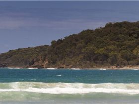 noosa small cyclone swell