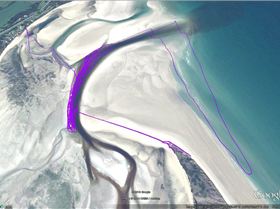 Cookies Tracks 12 Dec 13