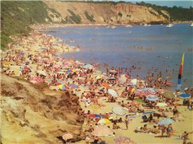 Sandringham and Brighton Beach Dendy Street