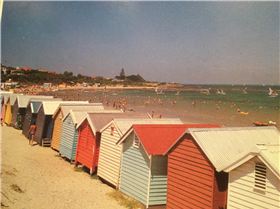 Sandringham and Brighton Beach Dendy Street