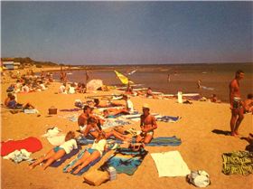 Sandringham and Brighton Beach Dendy Street