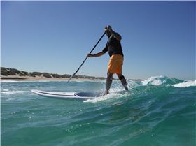 Good to see ya scotty