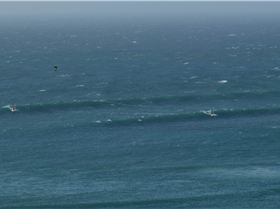 trip to the brainDSC09397