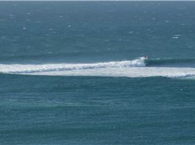 Trip to the brainDSC09410