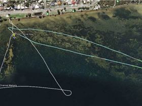 Intergalactic and local waters championship