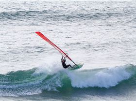 2. Wed5Mar CatBay0066