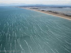 defiwind2014mancheweb-5