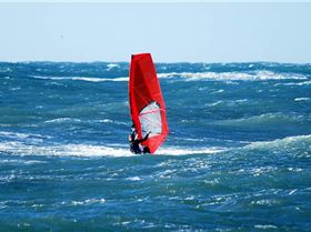 Windsurfing