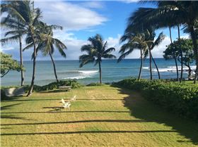 White stuff appearing