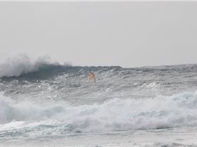 10335797 10100981048722486 472640929 n