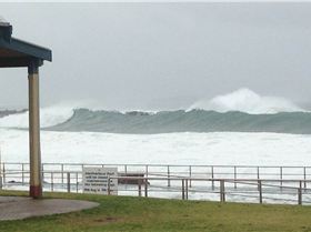 shellharbour
