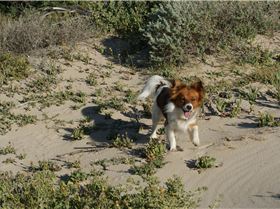 Geraldton Seabreeze season opener 11.9.2014