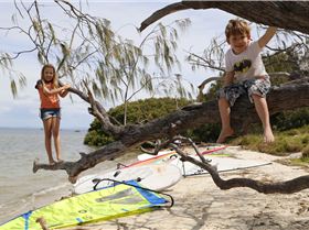 Windsurfer One Design racing