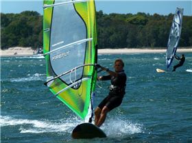 Shearwater, Gold Coast