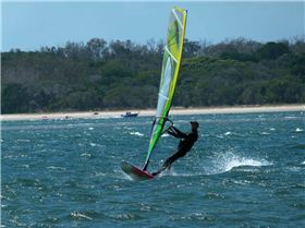 Shearwater, Gold Coast