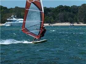 Shearwater, Gold Coast