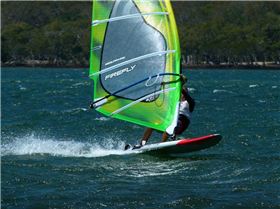 Shearwater, Gold Coast