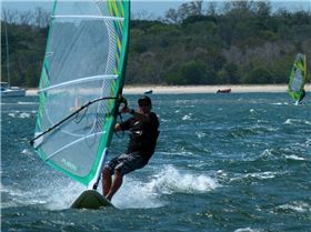 Shearwater, Gold Coast