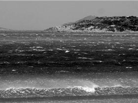 WSA Titles 28th September 2014