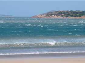 WSA Titles 28th September 2014