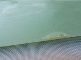 10690020 10152550668494713 2765335397275712240 n