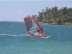 1956910 10152359010967751 5600793350206498996 o