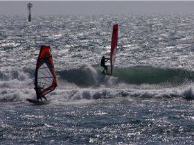 tar for the snaps tanya