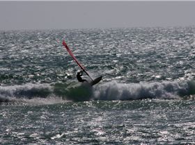 tar for the snaps tanya