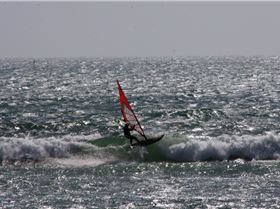 tar for the snaps tanya