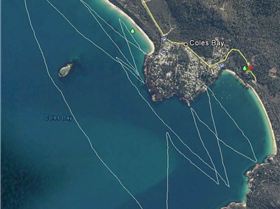 Coles Bay Tour