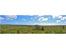 2014-12-01 279 - 2014-12-01 284