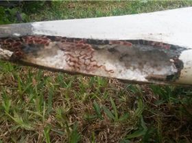 1558436 10152958754657790 607447072387793485 n