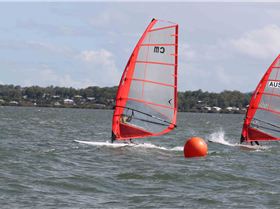 2015 Board Crazy Oceanics