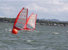 2015 Board Crazy Oceanics