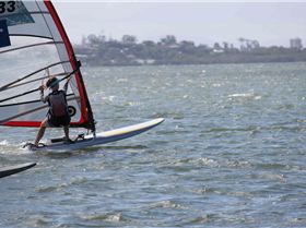 2015 Board Crazy Oceanics