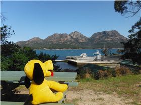 Tassie Road trip 2015