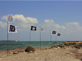 2015 WA Freestyle State Titles