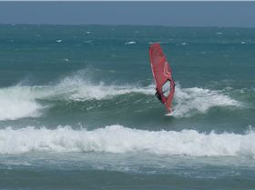 Milky started the froth / to a good days sailing