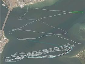 Alfamale session Samsung Android phone