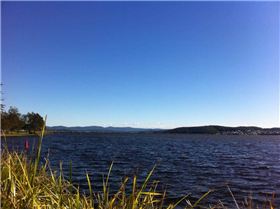 11218822 809747625779643 3512521358917453379 n