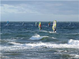 Queens Birthday at Green Pt