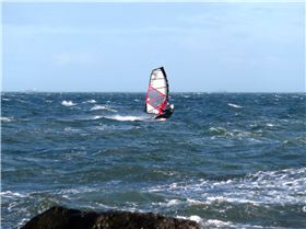 Queens Birthday at Green Pt