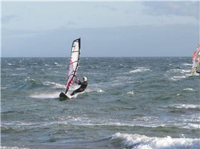 Queens Birthday at Green Pt