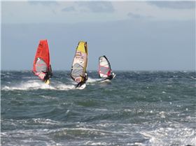 Queens Birthday at Green Pt