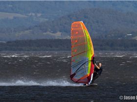 LakeIllawarra-1-13