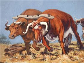 Latest mural at kurri