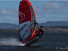 Primbee03082015-1-11